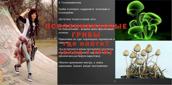 прущая мука Медвежьегорск