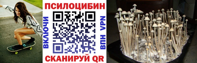 Галлюциногенные грибы Cubensis  кракен как зайти  Усть-Кут 