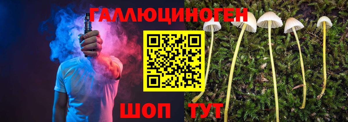 Псилоцибиновые грибы Psilocybine cubensis  Псилоцибиновые грибы мицелий  Вход с VPN  Усть-Кут 