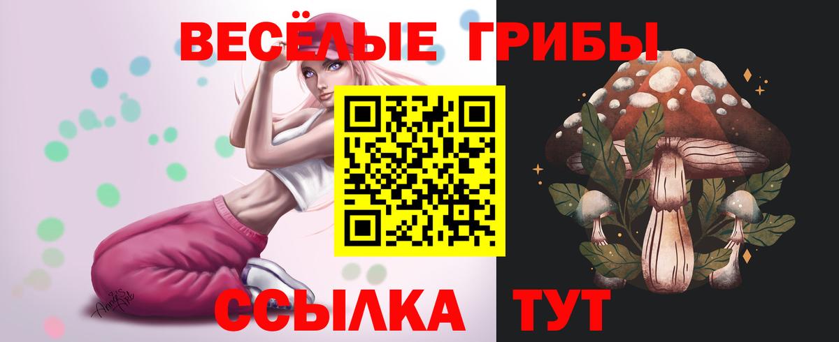 Галлюциногенные грибы GOLDEN TEACHER  Усть-Кут 